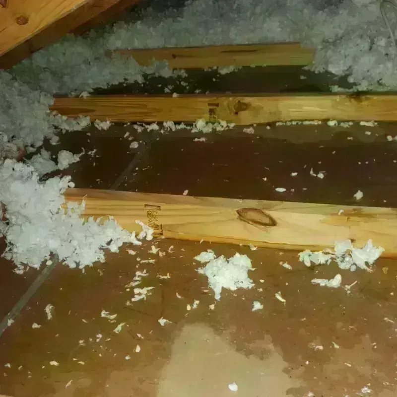 Attic Water Damage in Three Forks, MT