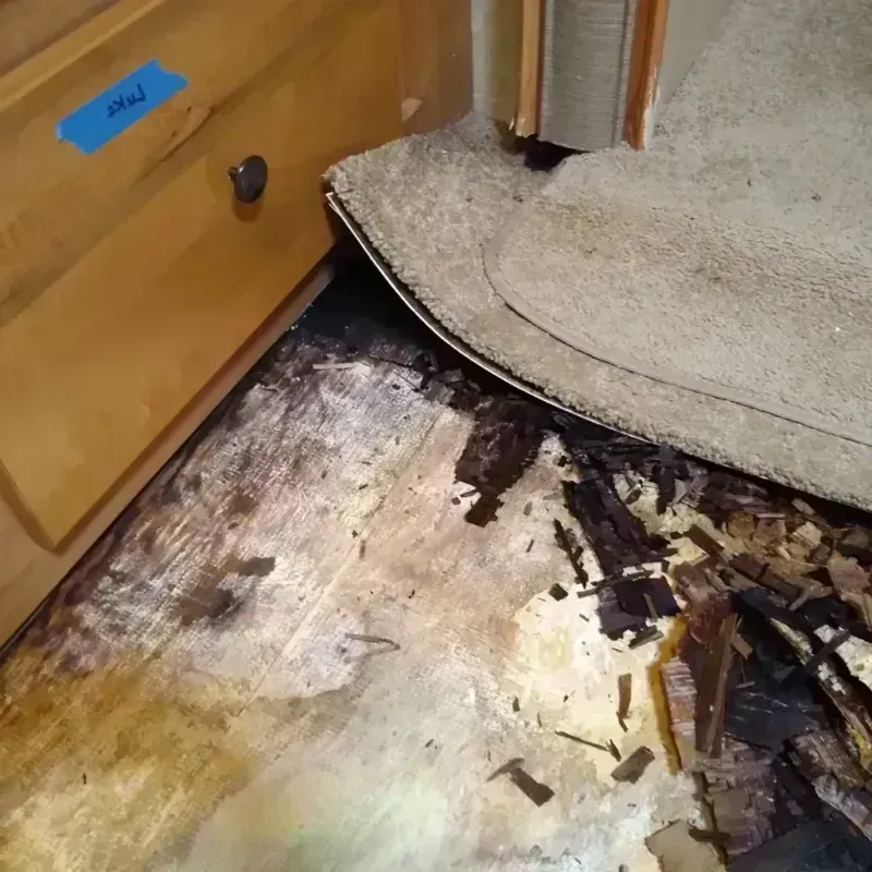 Wood Floor Water Damage in Three Forks, MT